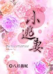 小逃妻 八月薇妮