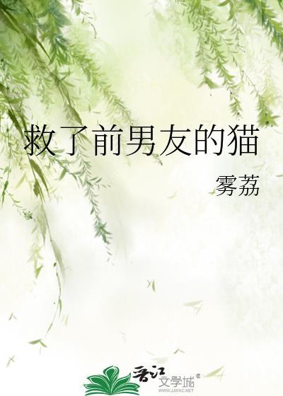 救了前男友的猫全文阅读