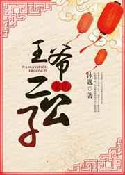 王爷家的二公子作者沐逸