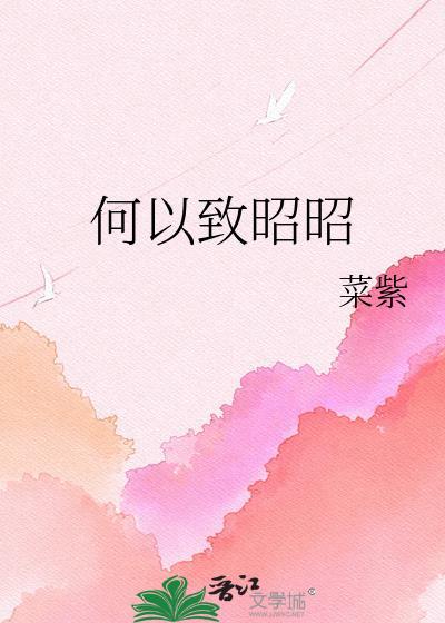 何以致昭昭讲的什么