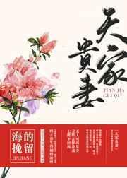 天家贵妻百度