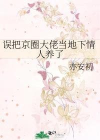 我把京圈大佬当成司机全集