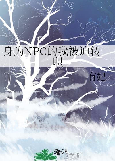 身为NPC的我决定整顿玩家by白玉未毁