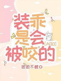装乖SC
