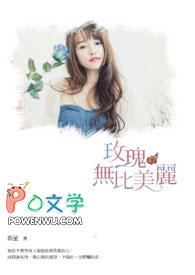 你比玫瑰更美丽算citypop吗