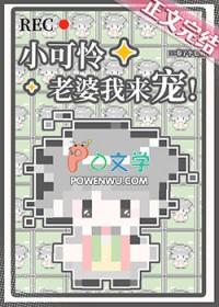 小可怜怀了总裁的崽免费阅读最新章节列表
