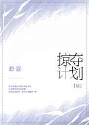 掠夺解释