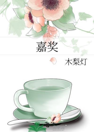 嘉奖 木梨灯