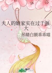 夫人的娘家实在过于强大百度