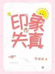 印象失真未删减版免费阅读