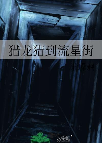 猎龙猎到流星街 85