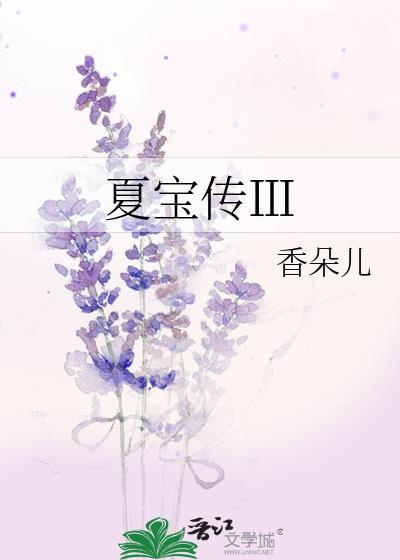 夏宝传ⅲ无防盗