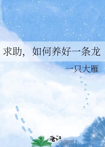龙怎么养