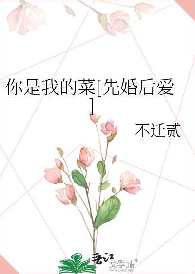 你是我的菜在线阅读