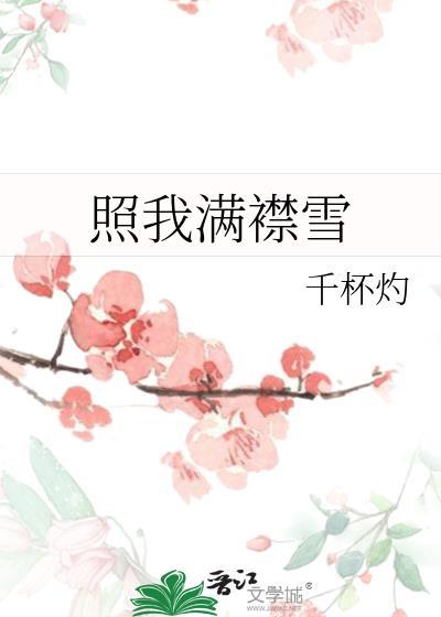 照我满襟雪by千杯灼txt