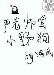 严老师是谁
