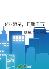 专业追星有工资吗