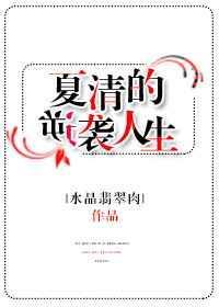 夏清的逆袭生活
