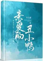 亲爱的丑妃