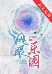 风眼官网