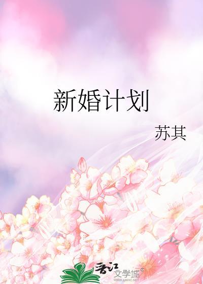 新婚计划by苏其