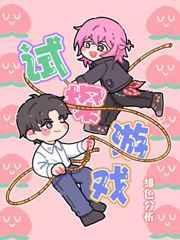 试探游戏TXT