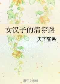 女汉子的清穿路 天下皆呆TXT