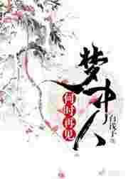 何时再见梦中人纯音乐
