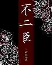不二臣全文免费阅读