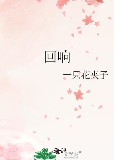 回响的意思