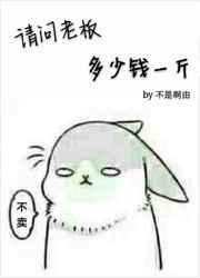 老板多少钱一个