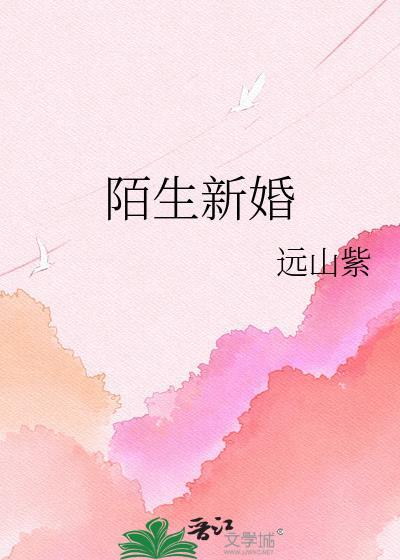 陌生新婚免费阅读