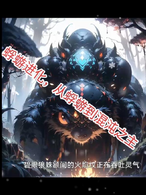 蜉蝣hita