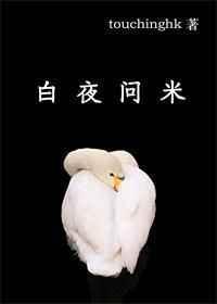 白夜问米全文免费阅读