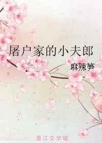 屠户家的小夫郎TXT奇书网