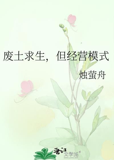 废土求生但经营模式TXT资