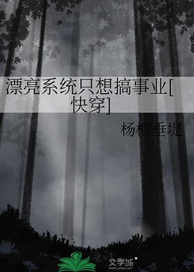 漂亮系统免费