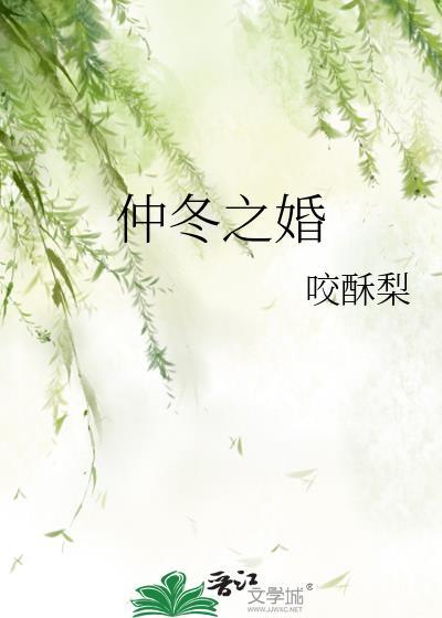仲冬之婚by咬酥梨讲的什么